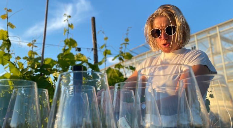  Kathy joosen Tøast Hoogstraten